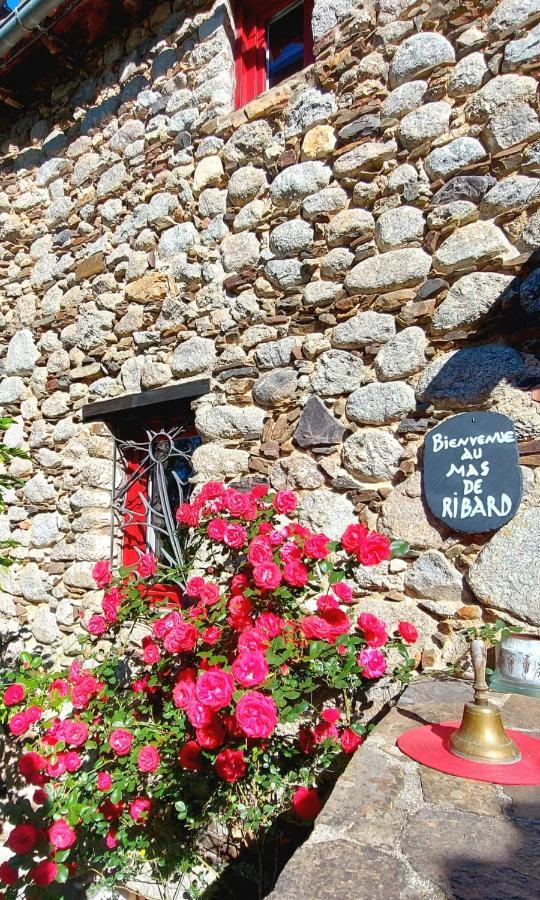 Le Mas De Ribard Bréau-et-Salagosse Εξωτερικό φωτογραφία